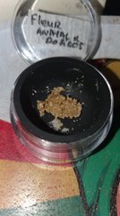 Animal C. x Dosidos