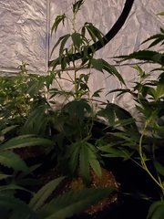 20200627_133149.jpg