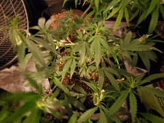 20200627_133451.jpg