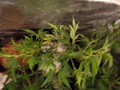 20200627_133505.jpg
