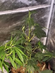 20200627_133748.jpg