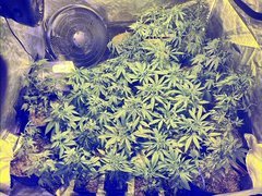 20200628_101736.jpg