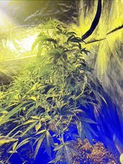 20200628_102041.jpg
