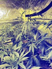 20200628_102120.jpg