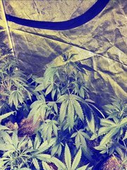 20200628_102127.jpg