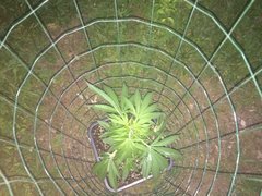 27.05 Afghany OG.JPG