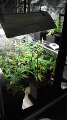 DSCN1230.JPG
