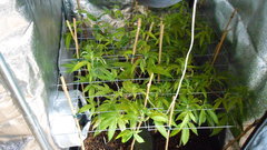 DSCN1280.JPG