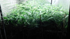 DSCN1309.JPG