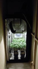 DSCN1320.JPG