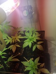 IMG_20200629_211806