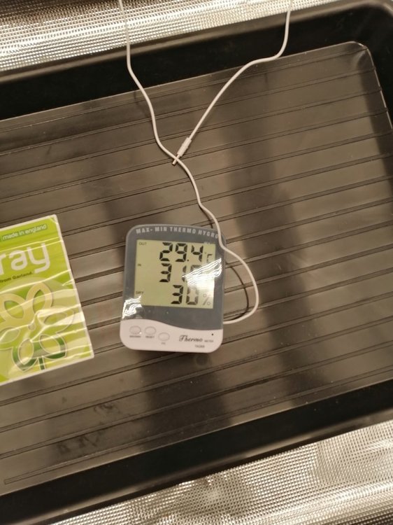 1053328367_hydro17h07.thumb.jpg.16c0c67da283796a6c3800b53862e9b8.jpg