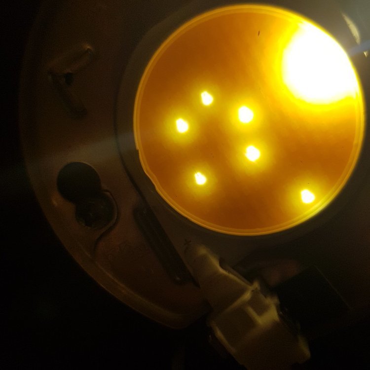 20200703_140354.jpg