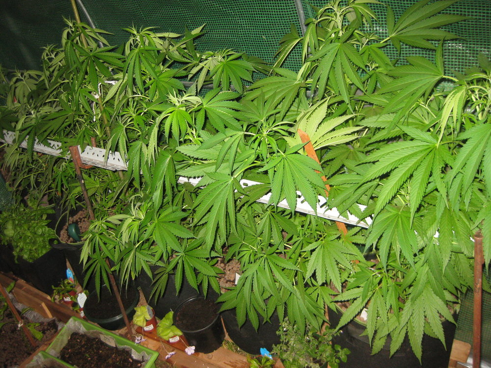 IMG_0355.JPG