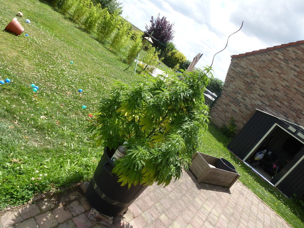 P1070228.JPG