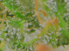 Wed Jul 01 11-55-46.jpg