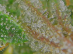 Tue Jul 07 11-11-31.jpg