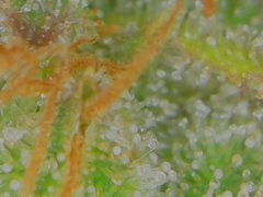 Wed Jul 01 11-57-41.jpg