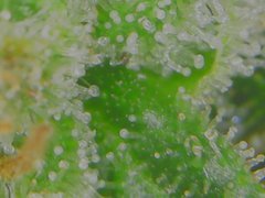 Tue Jul 07 11-10-36.jpg
