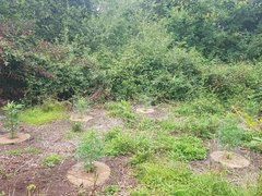 20200703_150824_compress79.jpg