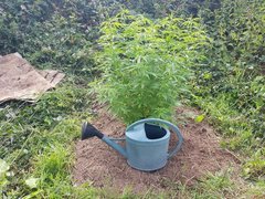 20200703_181330_compress26.jpg