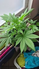 20200705_115357.jpg