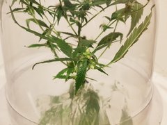 20200708_230417.jpg