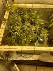 20200711_103057.jpg