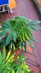 20200713_202238.jpg