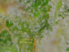 Tue Jul 07 11-11-09.jpg
