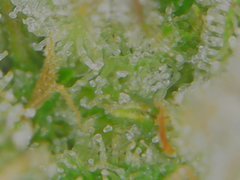 Tue Jul 07 11-11-16.jpg