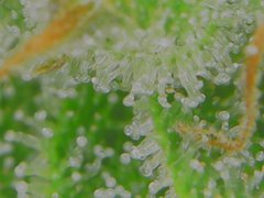 Wed Jul 01 11-59-32.jpg