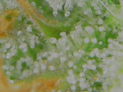 Tue Jul 07 11-08-24.jpg