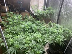 7E77A4C8-D00E-497B-B2C3-7667903A01A1.jpeg
