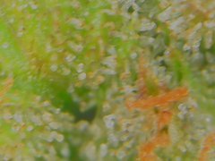 Wed Jul 01 11-56-17.jpg