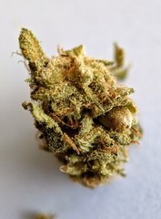 Strawberry Banana Fécondé - DNA Genetics
