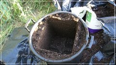 Pot 80L préparation rempotage.JPG