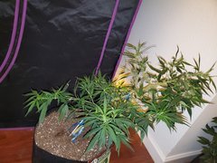IMG_20200711_220939.jpg