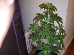 IMG_20200712_005727.jpg
