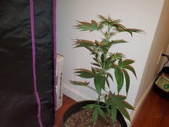 IMG_20200712_012159.jpg
