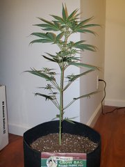IMG_20200712_012856.jpg