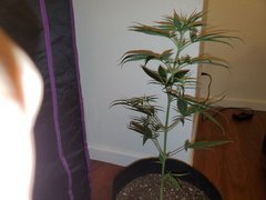 IMG_20200712_012908.jpg