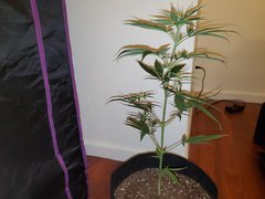 IMG_20200712_012914.jpg