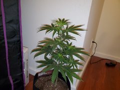 IMG_20200712_013608.jpg