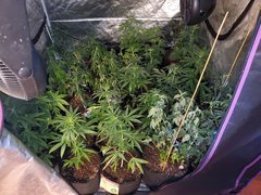 IMG_20200712_092317.jpg