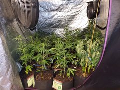 IMG_20200712_092435.jpg