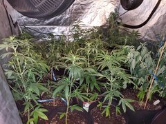 IMG_20200712_092516.jpg