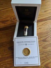 Spyrock Spécial Hash Plant - Afficionado French Connection