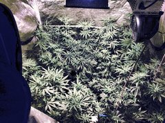 IMG_20200716_213008.jpg
