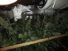 IMG_20200719_211902.jpg